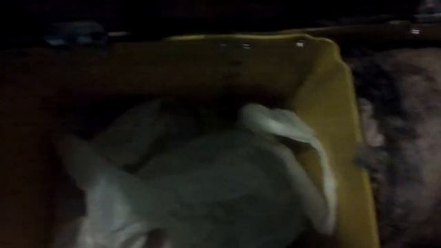 ящик для зимней рыбалки из канистры