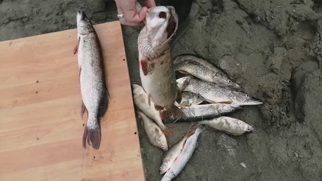 НАРВАЛИСЬ КАК-ТО на ОКУНЯ и ЩУКА КЛЕВАЛА на ВЕРТУШКИ! смотреть онлайн