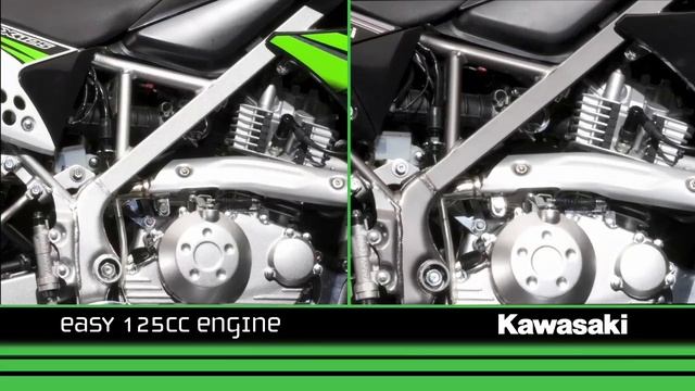 Kawasaki KLX125 & D-TRACKER 125 2010