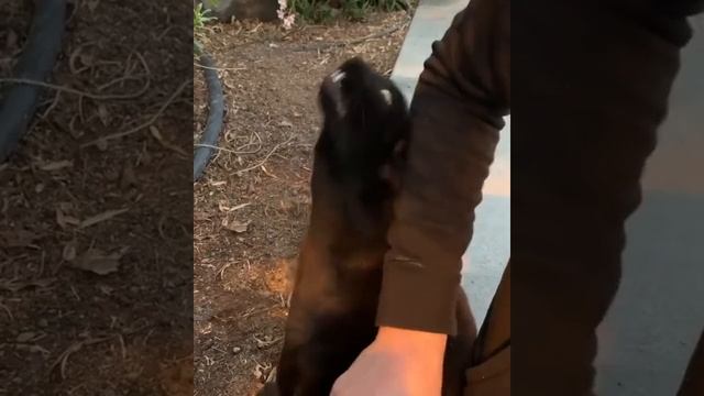 "Спасибо" по-блоховозски смотреть онлайн