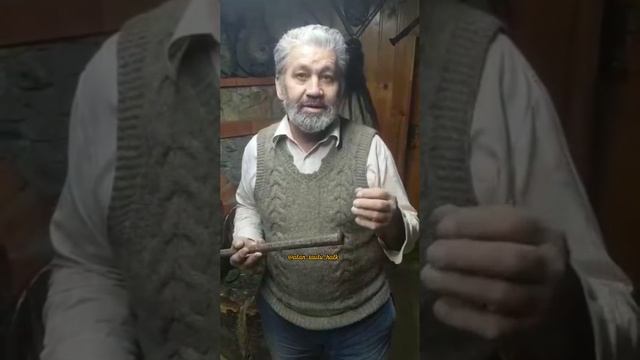 Хамзат Бачиев о роде Башиевых 12+ Khamzat Bachiev About The Bashiyevs 12+