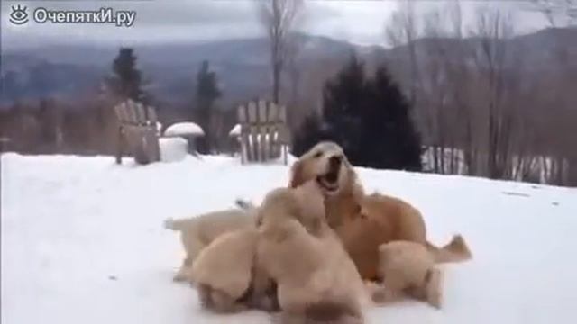 Маманя играет с малышнёй