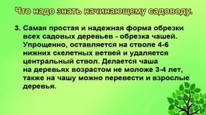 Надежные сроки обрезки сада. Не торопитесь.