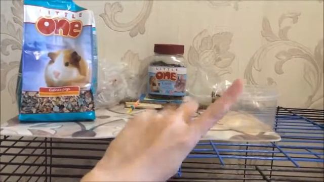 ЖИЗНЬ МОЕЙ МОРСКОЙ СВИНКИ (*_*) /\ смотреть онлайн