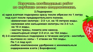 Обработка клубники после плодоношения подробно начинающим
