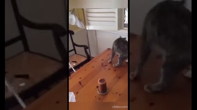 Вредители волосатые смотреть онлайн