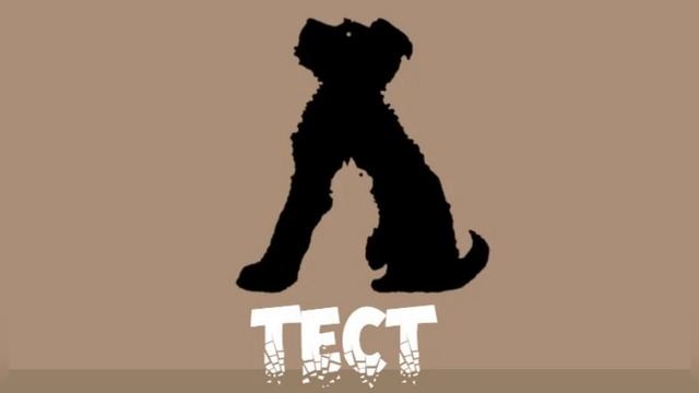 Тест «кот или пёс»: ваша жизненная цель по типу личности. смотреть онлайн