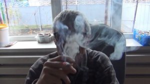 Дегустация табака , ВМС 24 и Блек мамонт