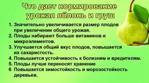 Если надо крупные  сладкие яблоки и груши