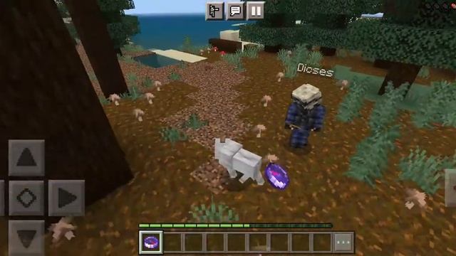 Выживание за собаку в майнкрафте. смотреть онлайн