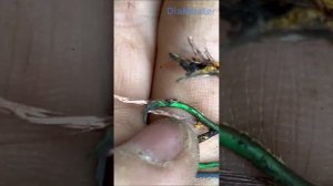 Hyundai Santa fe 2021 ошибки по CAN шине. Светится вся приборка, стрелки лежат.