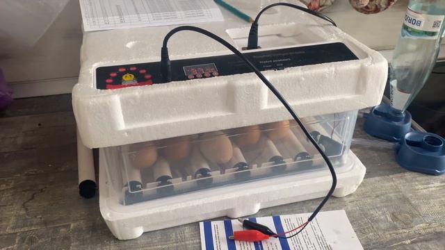 ИНКУБАТОР. ИНКУБАЦИЯ КУРИНОГО ЯЙЦА