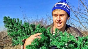 НОВЫЙ ГОД | Сериал СЕМЬЯ И ИХ СЫНОК - 9 Серия