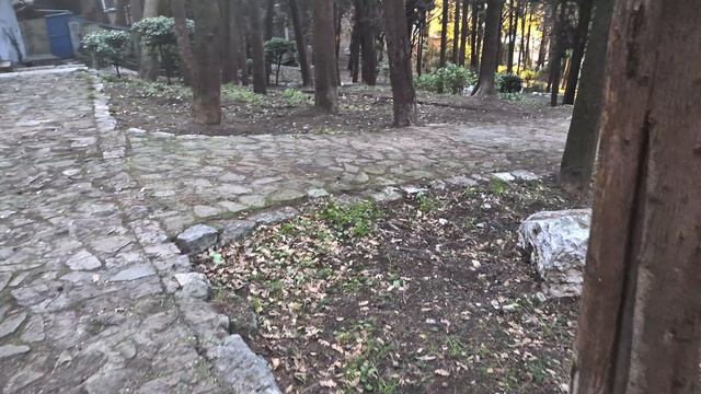 Влогоянварь. День второй смотреть онлайн
