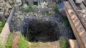 Картошка в ящиках,как растёт!