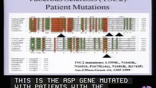 The Universe of GTP-binding proteins: un tema con variationi смотреть онлайн