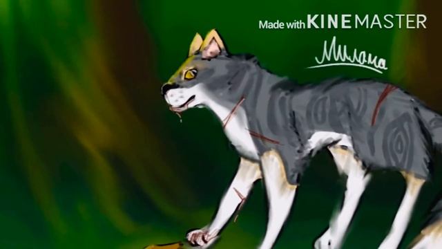 •|🐱Перехожу на КВ🐱|•+НØBÃR ØÇ смотреть онлайн