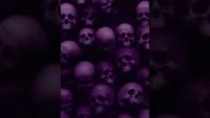 PHONK/1 Сентября/