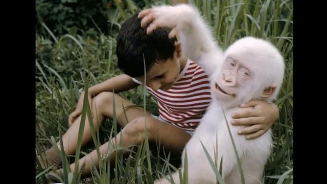 Альбиносы, Albinos смотреть онлайн