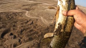 Рыбалка в Якутии на реке Лена