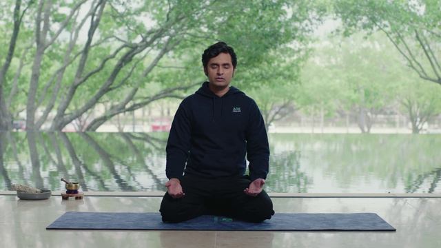 P15_Energy Healing смотреть онлайн