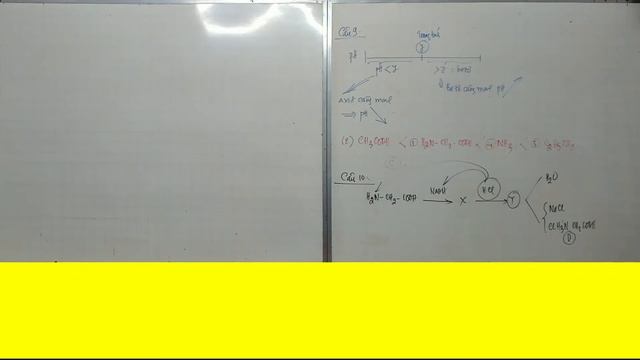 HỌC TỐT HÓA 12 - TỔNG KẾT BÀI AMINO AXIT - ĐỀ 016 . Tải đề Dưới Phần Mô Tả