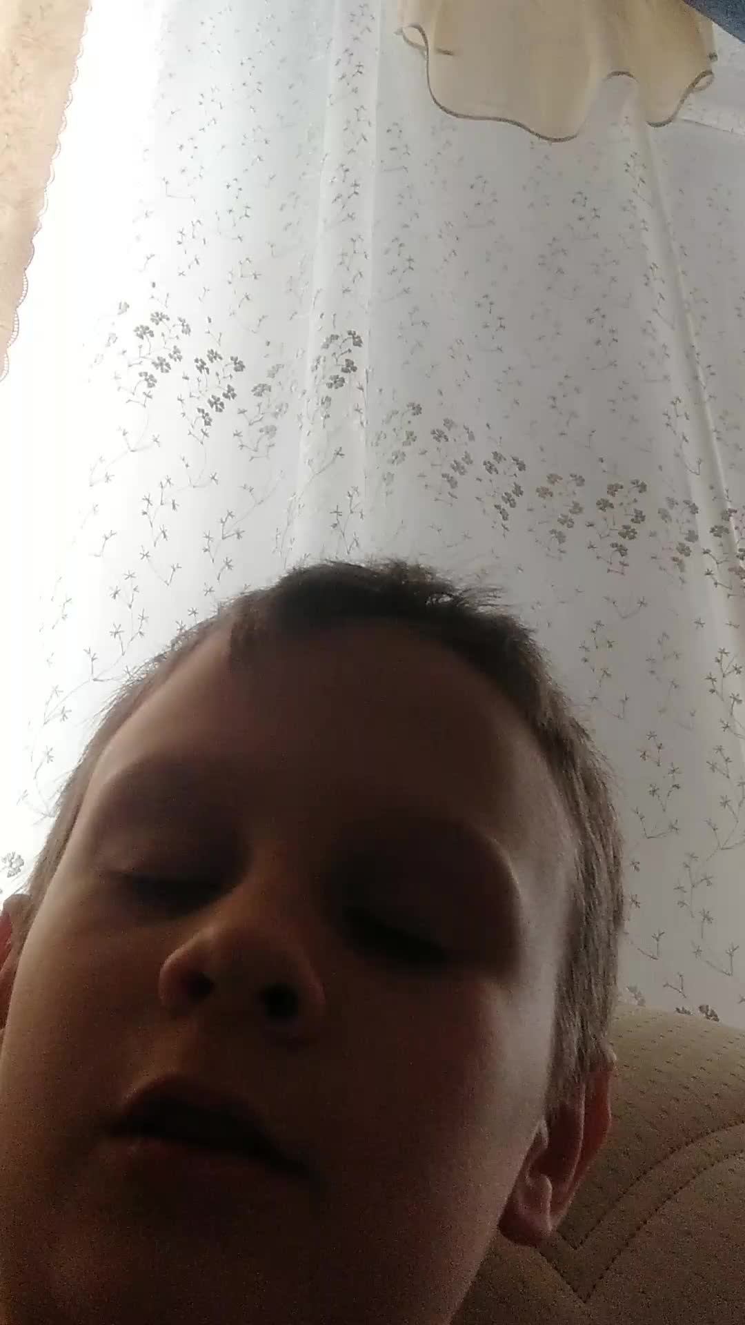 попугай Кеша