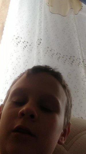 попугай Кеша