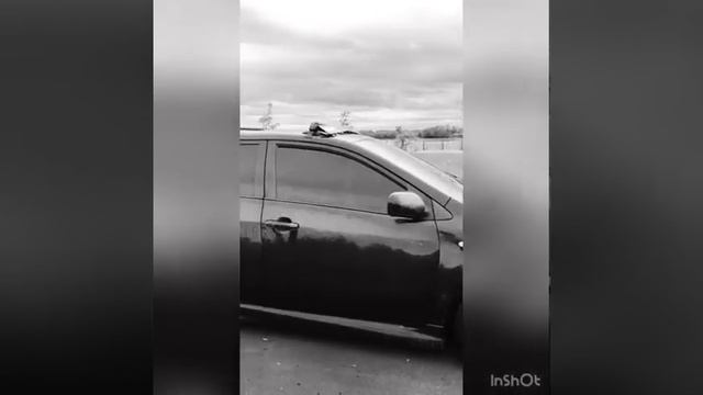Toyota Corolla смотреть онлайн