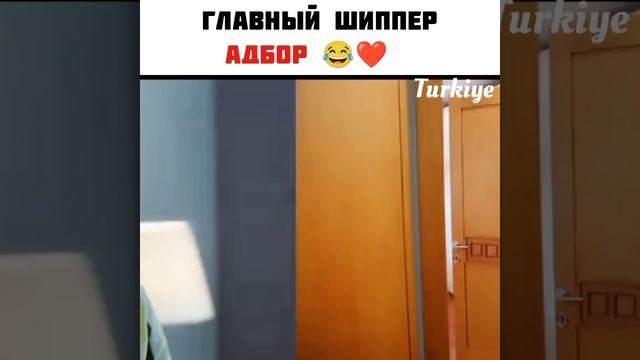 главный шиппер АдБор 😂❤️ #BahtOyunu #АдБор смотреть онлайн