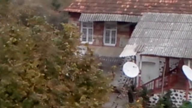 Пашан на сегодня 01-11-2014 года ... / PASHAN bu gun / Zaqatala... смотреть онлайн