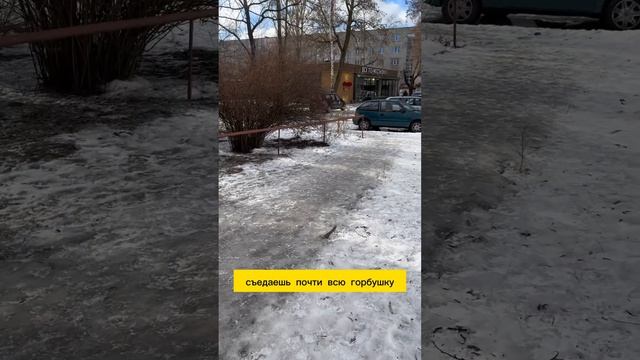 Ветеран Два Гуся😊 это лучший воспоминания детства! #двагуся #гомель #gomel #gomeltoday смотреть онлайн