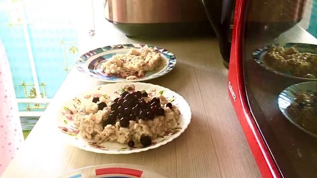 Овсянка, сэр! смотреть онлайн