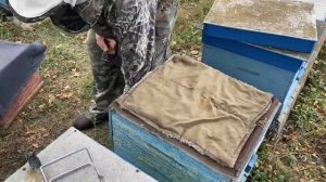 ФОРМИРОВКА СЕМЕЙ В ЗИМУ!!!