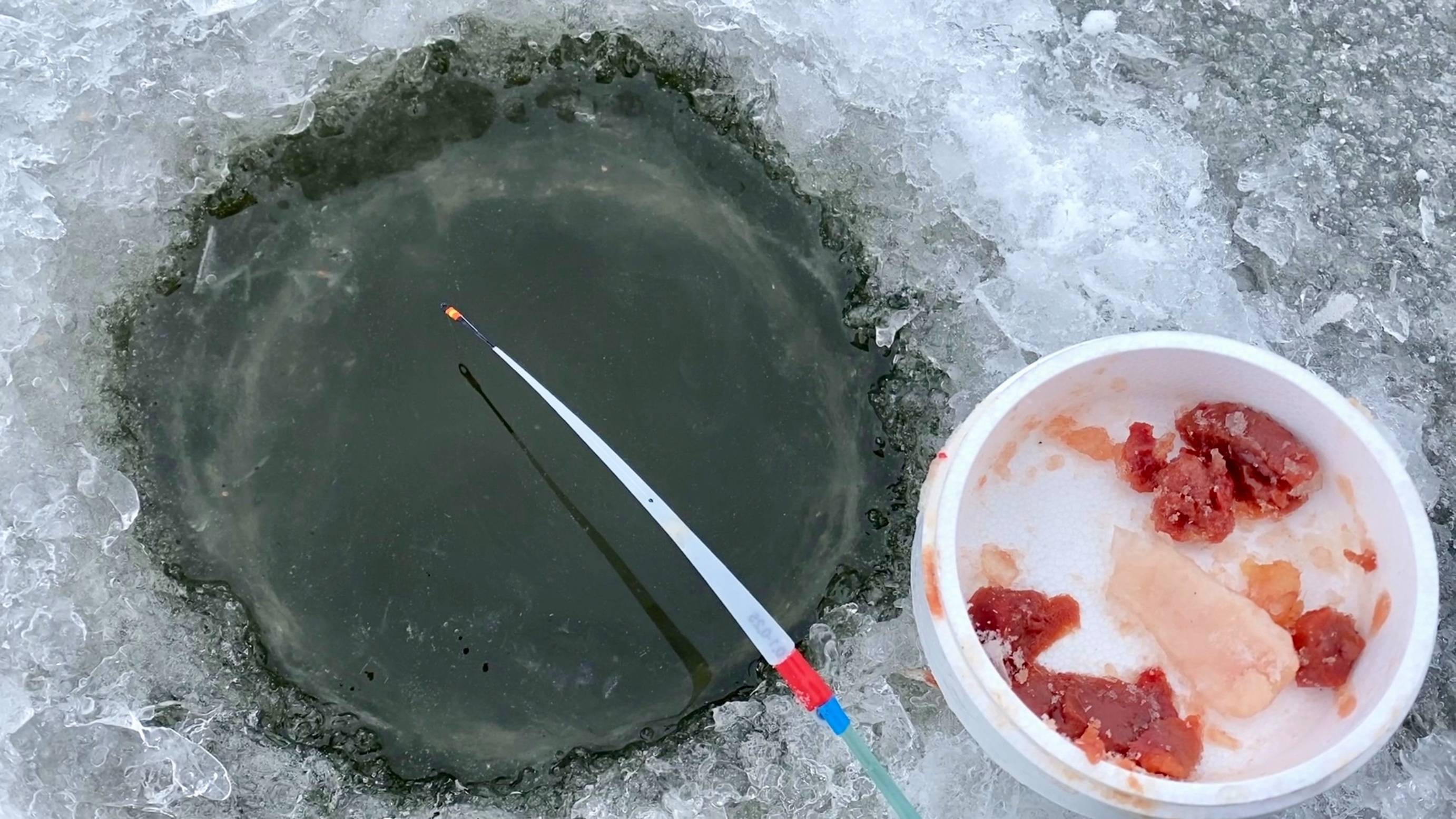 БОЛОТНАЯ ЛУНКА РАЗДАЁТ...ОНО...НА ПЕРВЫЙ ЛЁД! Мясо на удочку, зимняя рыбалка смотреть онлайн