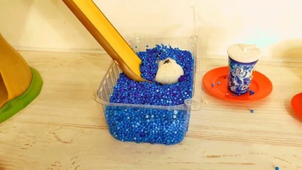 hamster rides downhill хомяк катается с горки