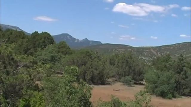 06. Можжевеловая роща в Канаке - девятое чудо света