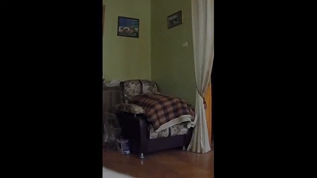 Психотеррор. Гангсталкинг. Голоса психооператоров. смотреть онлайн