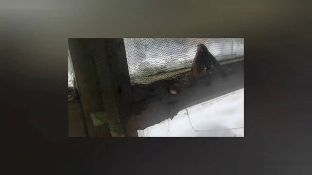 Разбираем старый дачный дом своими руками.Чать 3 смотреть онлайн