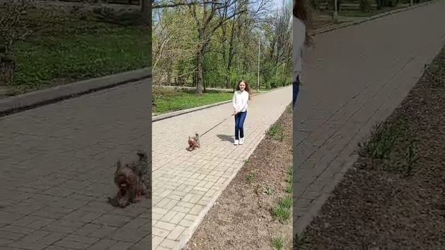 Гуляем🌞 смотреть онлайн