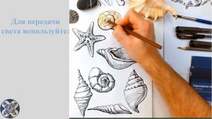 ИЗО 1 класс Домики, которые построила природа, #seashell, #ракушка #рисуемсалексеемникулиным