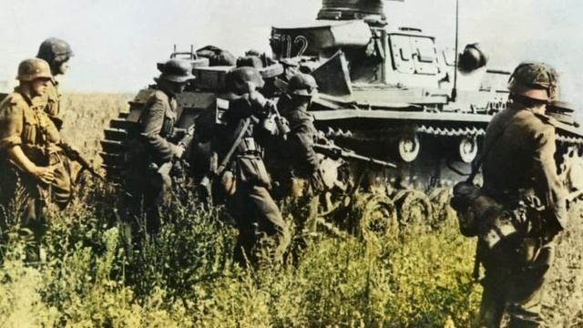 Счёт шёл на секунды, и она приняла единственно верное решение смотреть онлайн