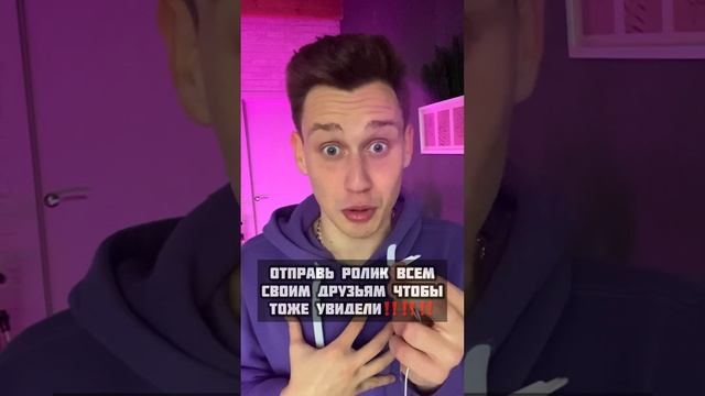 Самая маленькая собачка в мире😍😍😍 смотреть онлайн