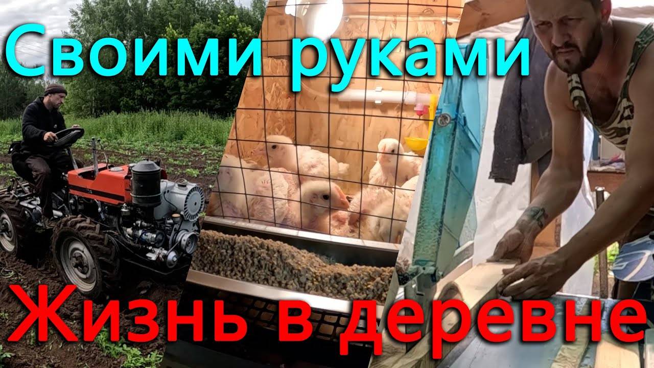 Клетка для бройлеров своими руками лучше чем с производства. Картошка окучена. Пушкинские Горы. смотреть онлайн