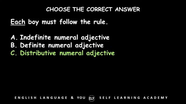 English Grammar Practice Test 051 I Adjective I Self Learning Academy #ELY I English Language & You смотреть онлайн