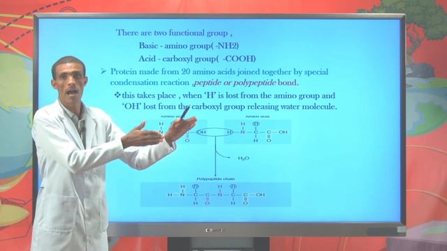 [Ep 3] Lipids and Protein смотреть онлайн