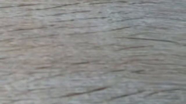 Первое видео инструкция смотреть онлайн