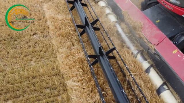 Massey Ferguson Delta 9380 || JD 8220 / Challenger MT665B || Žatva Jačmeň || Granelam Ostrov 2022 смотреть онлайн