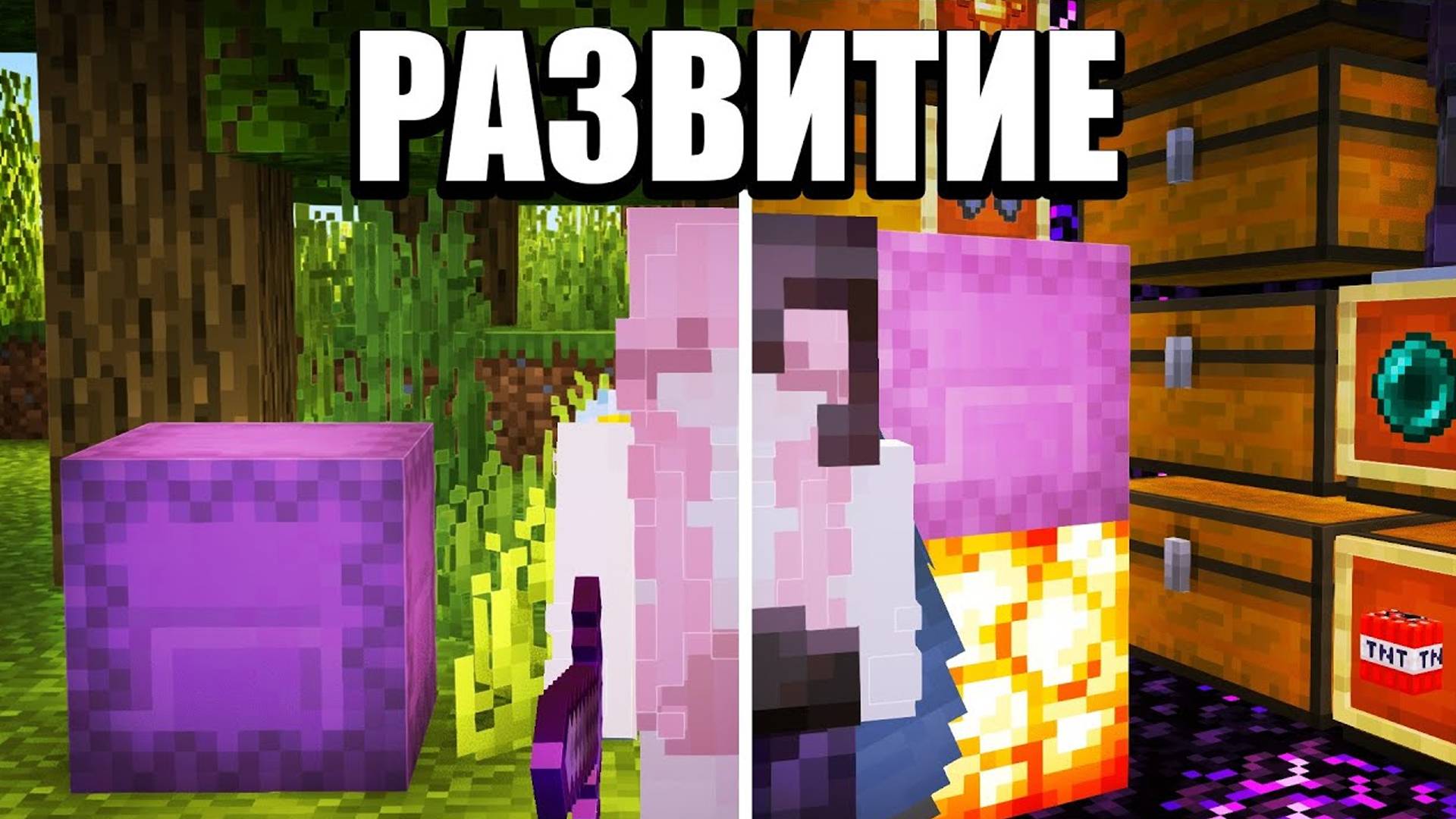 ЗАХВАТИЛ АНАРХИЮ В МАЙНКРАФТ - Phoenix-pe.ru