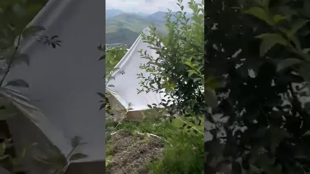 25 лет спустя Отдых на моей родине в Армении,Отель Ресорт Vanadzor смотреть онлайн